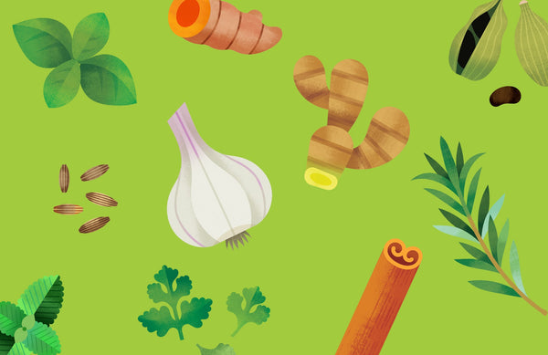 illustrations of baby-friendly herbs and spices on a green background