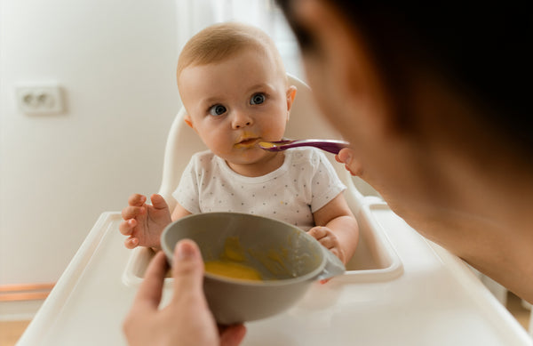 baby in high chair being spoon-fed baby food purée