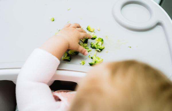 close up of a baby reaching for steamed broccoli on a high chair tray