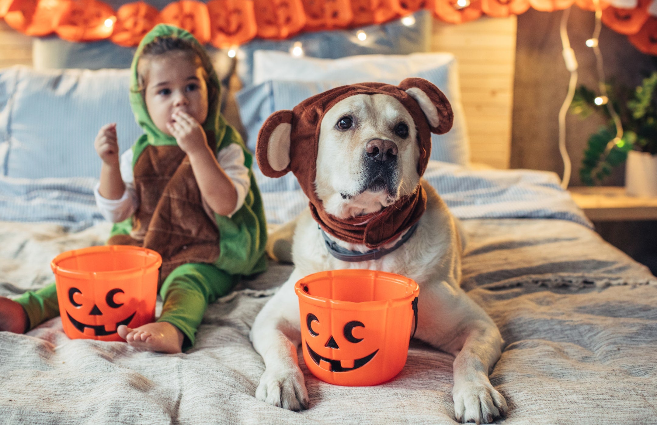 Halloween Candy & Kids: Nutrition Experts Weigh In