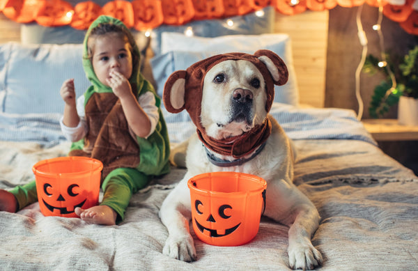 young girl and dog, each wearing Halloween costumes, sitting on a bed with Halloween candy buckets