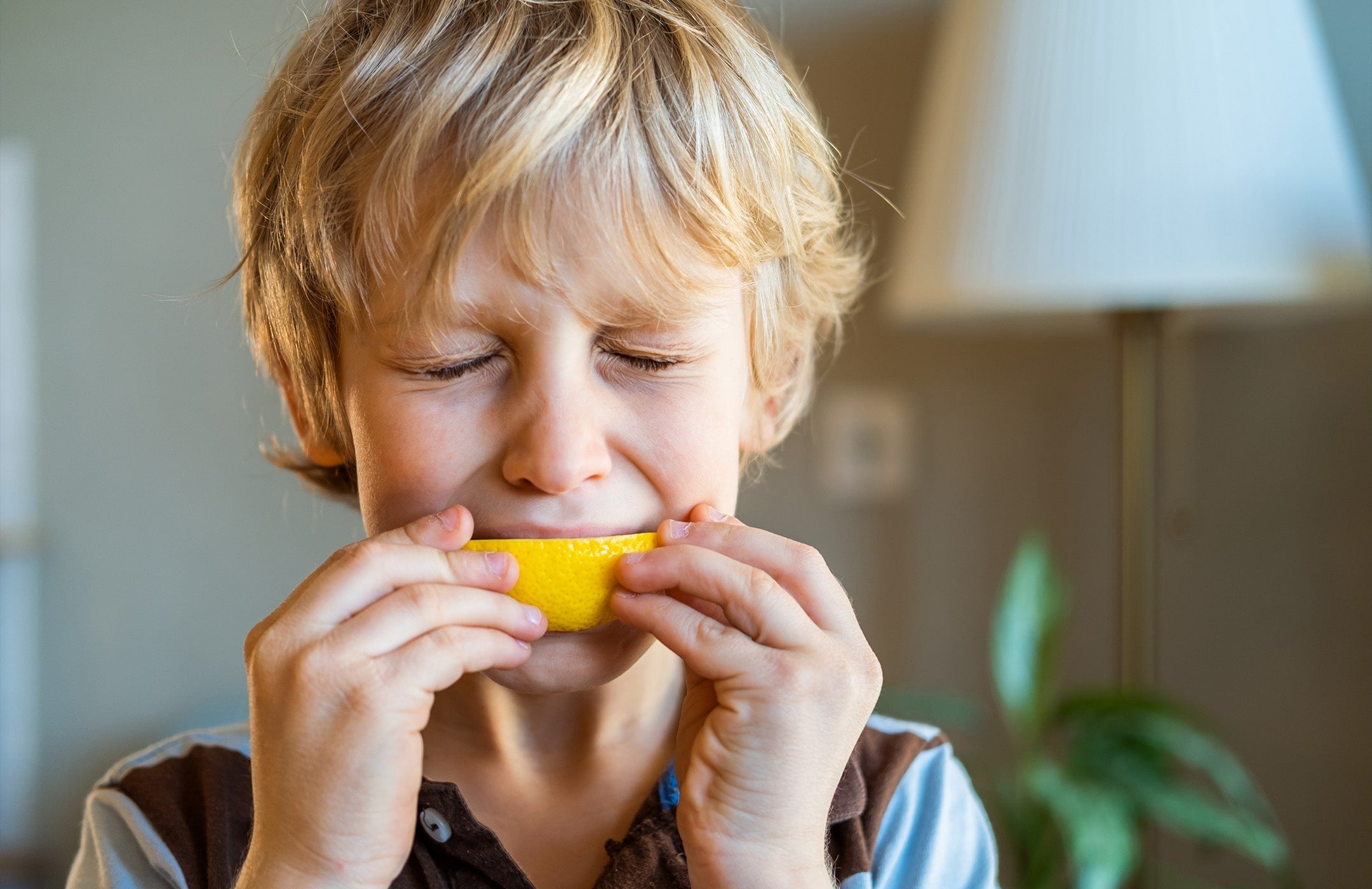 child eating a lemon slice