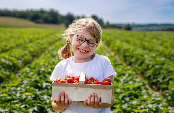 child holding a basket of strawberries in a strawberry field