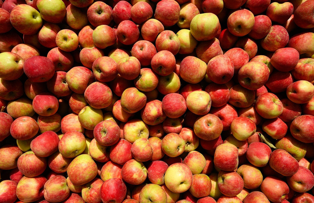 a pile of apples