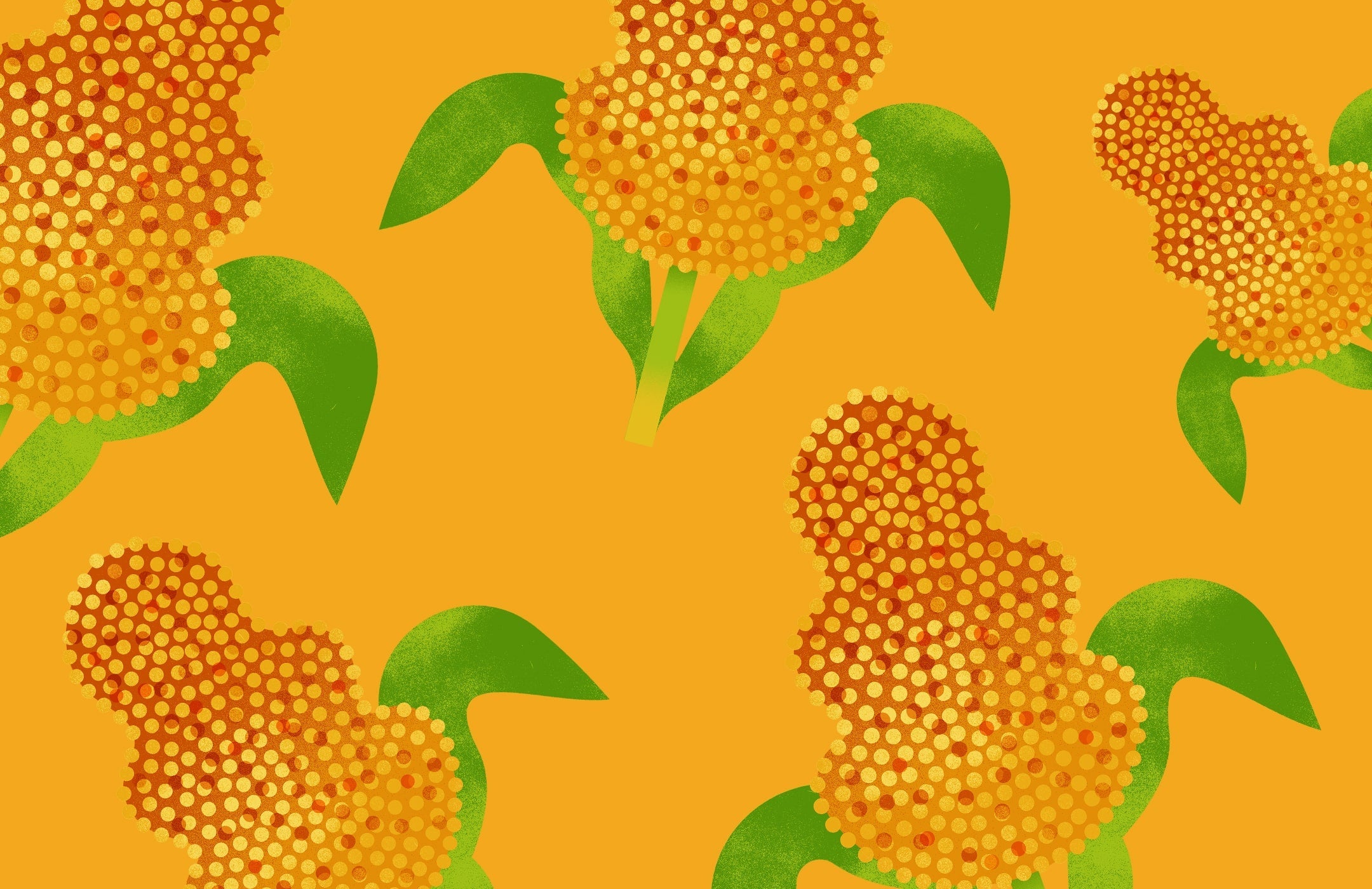 illustrations of sorghum on a golden-colored background