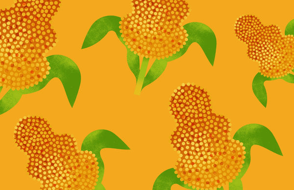illustrations of sorghum on a golden-colored background