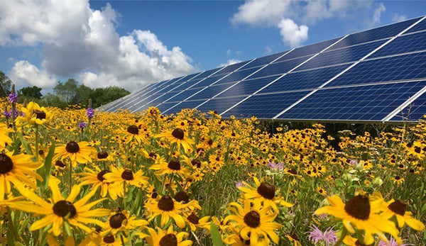 Our Commitment to a Better Future