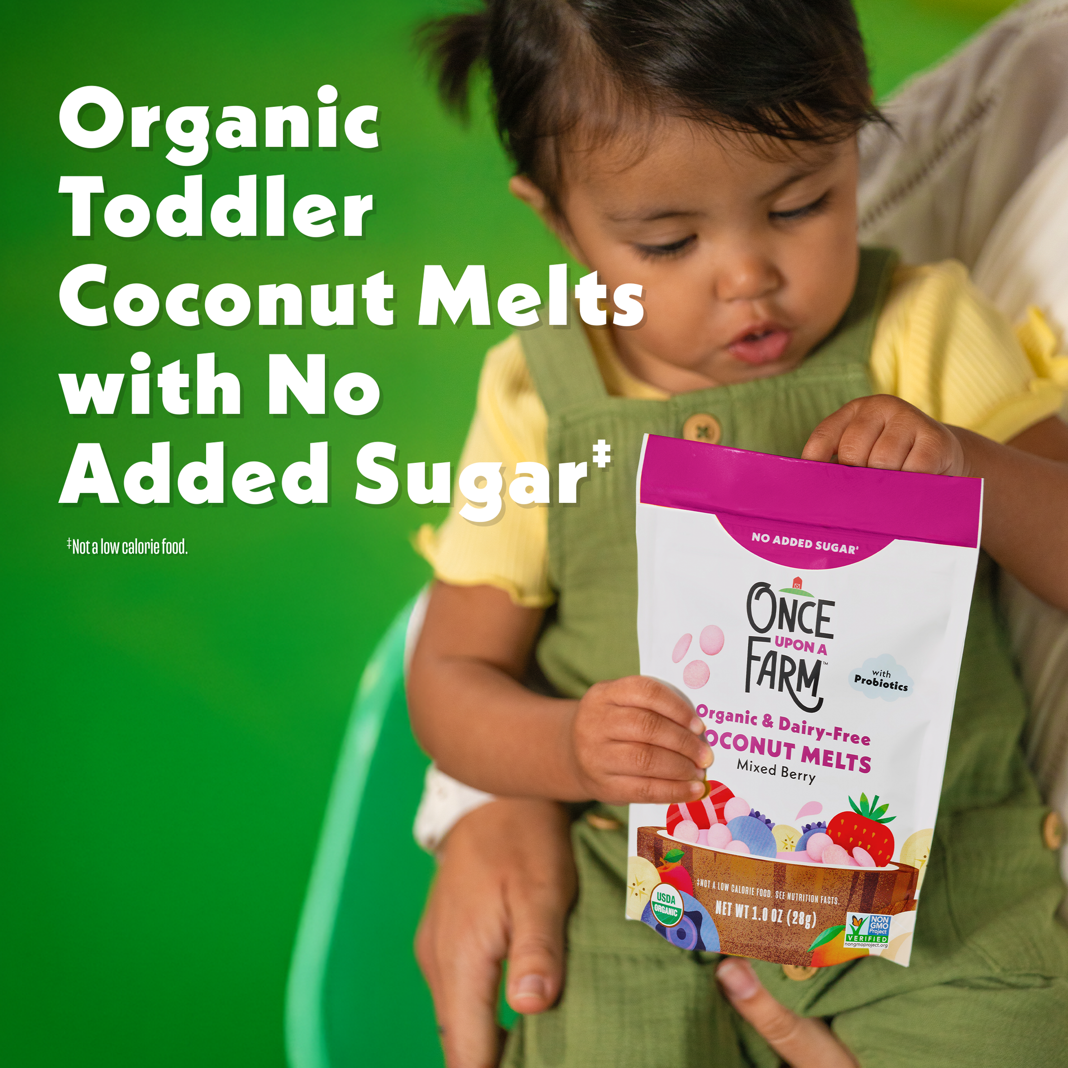 Mixed Berry Coconut Melts, 8ct – Once Upon a Farm