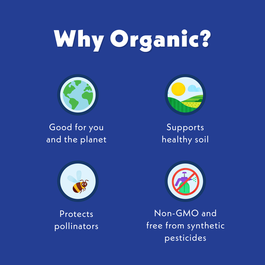 #svg:apple-berry-avocado-oat-milk-smoothie-organic