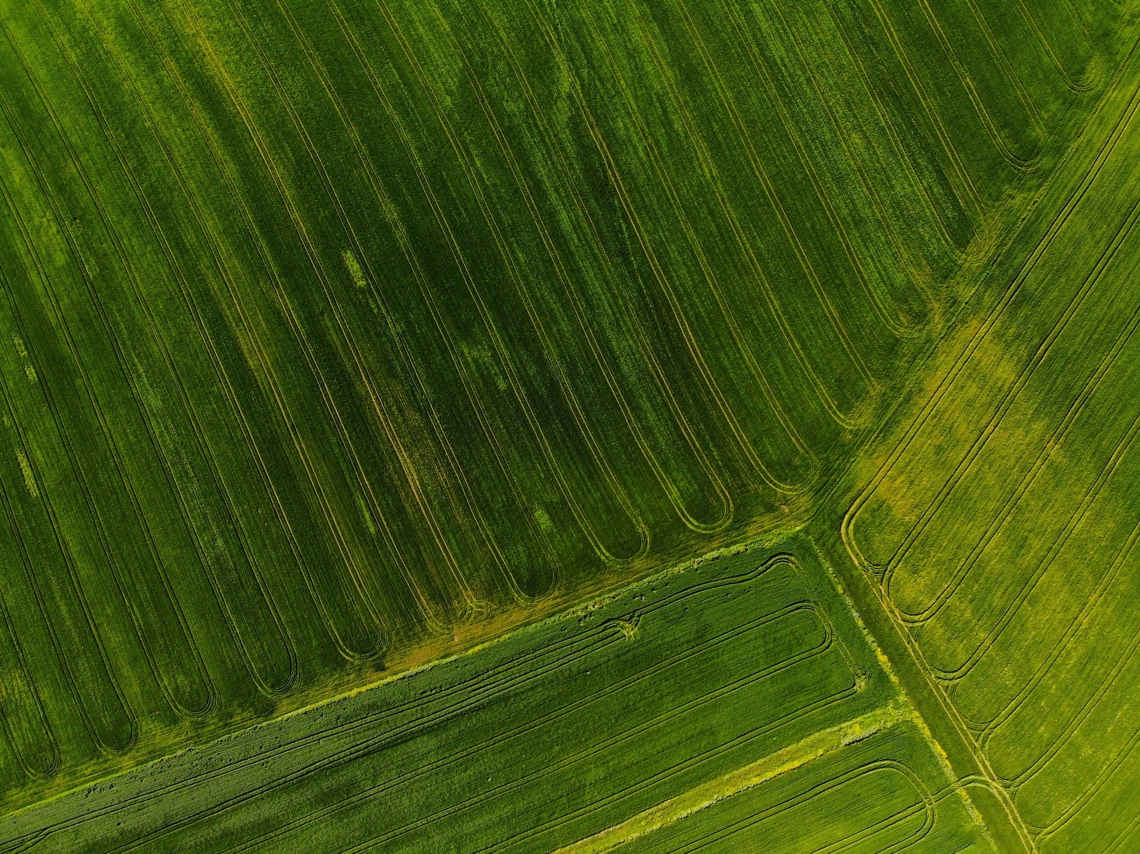 Background Image of a Vibrant Green Farm Shot from Above